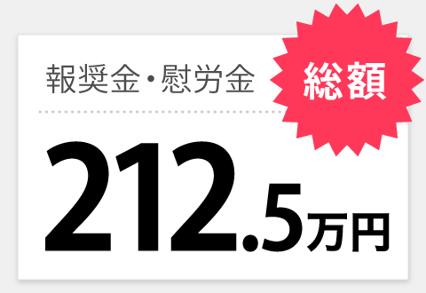 報奨金・慰労金 総額212.5万円