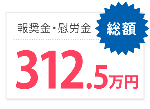 報奨金・慰労金 総額312.5万円